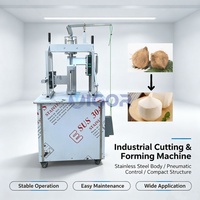 Machine à peler les noix de coco commerciale à haut rendement, machine à peler les noix de coco en forme de diamant