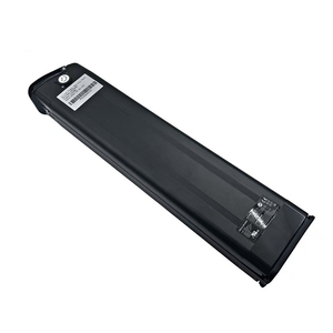 Batteria ad Alta Capacità per Ebike da Food Delivery, Batteria Silver Fish 48v 30Ah 36v 20Ah 48v 28Ah, Batteria Whitebait - Product Image 5