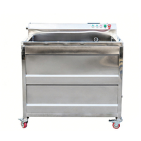 Automatische enkel- en dubbelcilinder ultrasoon bubbelreiniger voor fruitpuree, bladgroenten en reinigingsmachine