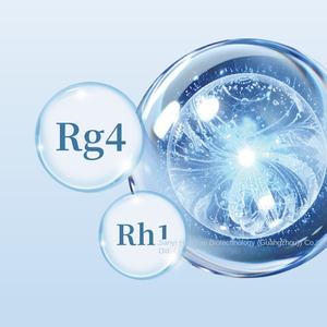 Vahşi ekili Ginseng tozu yumuşak kapsül Vitamin şişesi nadir Ginsenoside Rg4 Rh1 katı içecek tabletleri için hammadde - Product Image 2