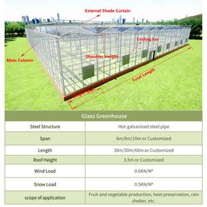 Grande serre agricole multi-travées en verre trempé avec structure en acier galvanisé à chaud, fenêtres de toit et conception ventilée - Product Image 2