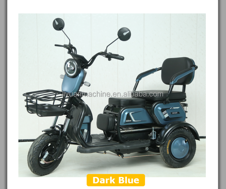Ty Rex Moto 3 Roues T3-XK - Top Quality Electric Tricycle