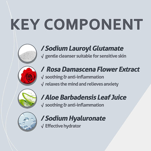 OEM/ODM Private Label delicato <span class=keywords><strong>schiumogeno</strong></span> <span class=keywords><strong>detergente</strong></span> viso amminoacido quotidiano per il viso Unisex lavabile in Gel <span class=keywords><strong>detergente</strong></span> per la <span class=keywords><strong>pelle</strong></span> <span class=keywords><strong>grassa</strong></span> - Product Image 3