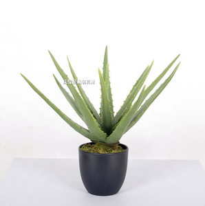 Planta Artificial <span class=keywords><strong>de</strong></span> Aloe <span class=keywords><strong>Vera</strong></span> en Maceta, Bonsái Suculento, Decoración <span class=keywords><strong>de</strong></span> Interiores para el Hogar y la Oficina - Product Image 3