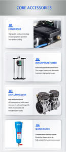 <span class=keywords><strong>Chinese</strong></span> Fabrikant Viskweek 93 Concentratie Pure Zuurstof Apparatuur 30l/Min Psa Zuurstofgenerator - Product Image 4