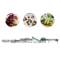 Turnkey fruit- en groenteverwerkingslijn voor voedingsmiddelenfabrieken