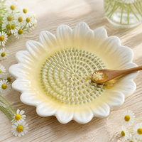 Râpe à gingembre en céramique, design pomme, avec centre de broyage texturé pour l'ail, les zestes de citron vert et les épices, pour la cuisine domestique