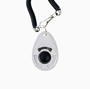 Herramienta Profesional <span class=keywords><strong>de</strong></span> Entrenamiento <span class=keywords><strong>de</strong></span> Perros para <span class=keywords><strong>Cachorros</strong></span>, para el Adiestramiento <span class=keywords><strong>de</strong></span> la Obediencia <span class=keywords><strong>de</strong></span> Mascotas - Product Image 6