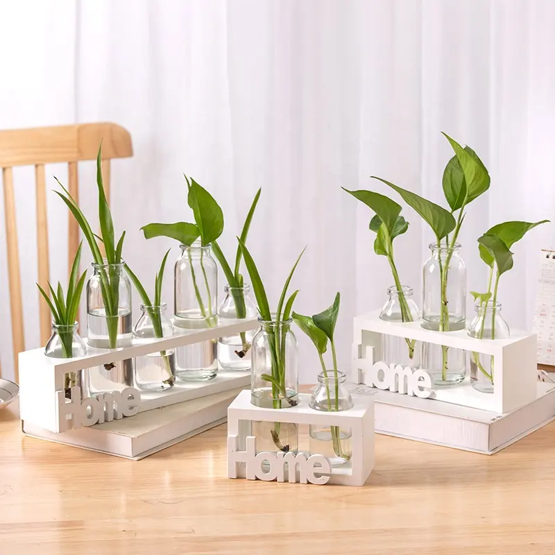 Kreativer holzrahmen wasserkultur glasvase grüne pflanzen transparente schreibtisch-dekoration kleine container-bürodekoration
