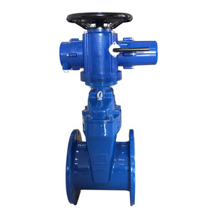 Compuerta de agua multivuelta de 4 y 6 pulgadas, tipo brida, de acero al carbono y acero inoxidable, accionada por motor, CF3 CF3M E - Product Image 1