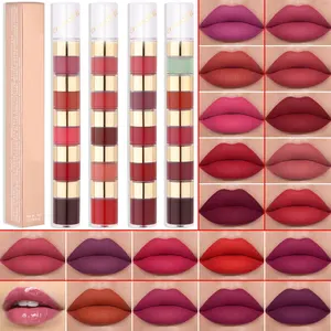 Lipstik Mini pelembab tahan lama, Lip Gloss Set Lipstik Matte tanpa tanda, Beludru 5 dalam 1 ODM