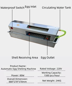Machine industrielle à grande capacité <span class=keywords><strong>pour</strong></span> peler les œufs durs avec réservoir d'eau circulante <span class=keywords><strong>pour</strong></span> usine de transformation alimentaire - Product Image 5