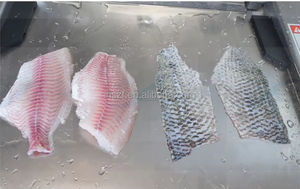 เครื่องลอกหนัง<span class=keywords><strong>ปลา</strong></span>แบบใหม่สามารถใช้ได้กับ<span class=keywords><strong>ปลา</strong></span>หลากหลายชนิด - Product Image 6