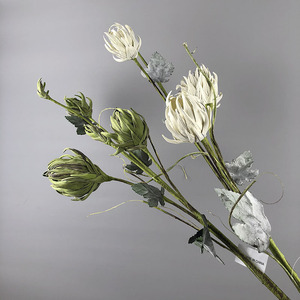 AR-524 ZUOYI EVA schiuma fiore serie pianta artificiale foglia Protea bacche fiore di frutta per fiori secchi - Product Image 5