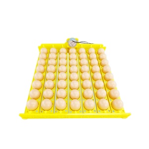 Mini Tray Automatic Hatching <b>Egg</b> <b>Incubator</b> with 110V/220V Compatibility 1-Year Warranty for Birds & Reptiles - Product Image 1