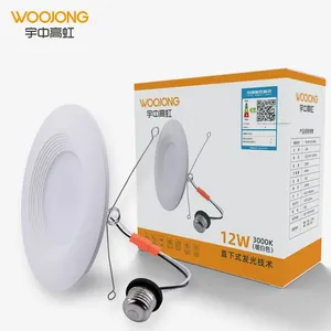 WOOJONG Hot-sales Indoor DImmable Downlight 4 inch 8.6W Recessed Down LIght Retrofit LED Lighting with 5 Year Warranty