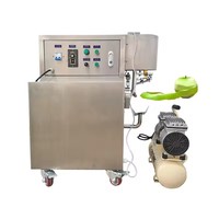 Fruit Professionele Machine Groenteschiller Pellen Strip Machine