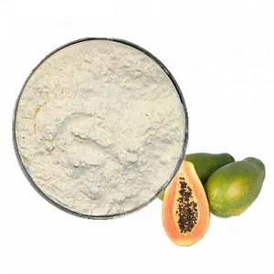 散装100% 纯天然木瓜蛋白酶价格木瓜蛋白酶粉