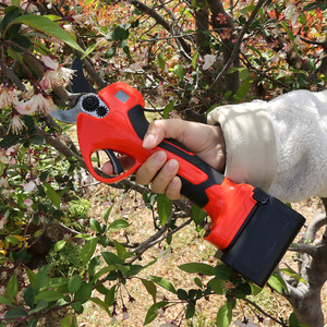 21V Meilleure vente ciseaux de jardin sécateur SK5 sécateur multifonctionnel fleur cueillette cisailles jardin branche outil - Product Image 6