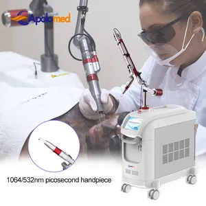 CE 1064nm 532nm Picosecond 1064nm Nd Yag lazer Pigment kaldırma kore Q anahtarlı Nd Yag lazer dövme kaldırma makinesi