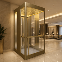 Ascensore Domestico in Vetro Dorato Personalizzato, Produttore di Ascensori di Lusso per Ville con Illuminazione LED, Vendita Diretta dalla Fabbrica OEM