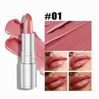 Rouge à lèvres mat minéral hydratant longue tenue et waterproof avec formule hydratante