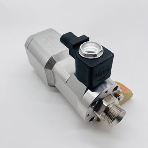 Regulador reductor de presión de <span class=keywords><strong>gas</strong></span> <span class=keywords><strong>natural</strong></span> para vehículo LNG eléctrico DC24V, 2 unidades - Product Image 3