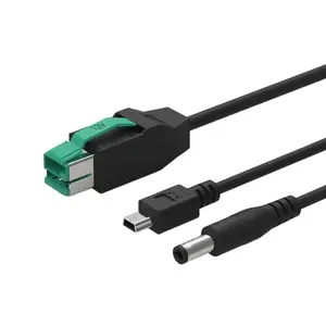 電源付きUSB12VからUSBType CおよびミニUSB5Pオス2in1スプリッターYケーブル (プリンターPOSシステムデータ伝送ケーブル用)