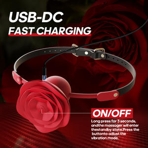 <span class=keywords><strong>Sm</strong></span> Mond Gap Binding Uitrusting Siliconen Bal Vibrator Gat Plug <span class=keywords><strong>Sex</strong></span> Nieuwigheid Speelgoed Paar Spel Masturbators Speelgoed Vrouwen - Product Image 6