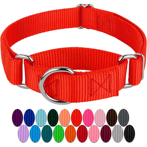 Collier de dressage pour chien NIBAO en nylon robuste, type slip et martingale - Product Image 1