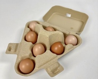 Boîte à œufs en fibre de cellulose écologique, réutilisable, portable, taille personnalisée, pour emballage alimentaire sûr en cuisine, boîte à 7 œufs