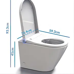 शौचालय शौचालय वाणिज्यिक शौचालय पारंपरिक बैक टू वॉल बंद युग्मित शौचालय छुपा हुआ ट्रैपवे छुपा हुआ ट्रैपवे शौचालय