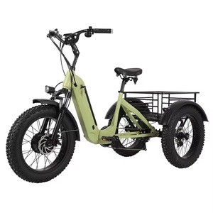 Triciclo eléctrico de rueda delantera de 750W para adultos Triciclo eléctrico plegable con cubo de motor de batería de litio - Product Image 1