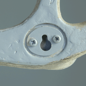 Nhựa Treo Tường Sừng Hươu Polyresin Antle Bức Tượng - Product Image 2