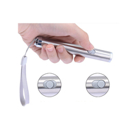 Chat Laser Pointeur Chaser Stylo Jouet avec LA Lumière DE Flash De LED