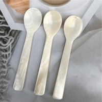 Cuillère en bois et coquille écologiques HY pour caviar, œufs, thé, sucre, sel et poivre, thé et café de Vietcrafts