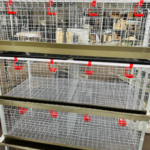 ระบบกรงเลี้ยงไก่เนื้อแบบ H-Type รุ่นใหม่ พร้อมระบบหมุนมือ และคุณสมบัติทำความสะอาดไก่เพื่อการจัดการมูลไก่ - Product Image 3