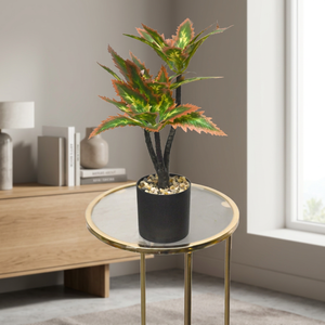Artificial Indoor <b>Potted</b> <b>Succulent</b> Autumn-Edge Variegated Tabletop Shrub - Product Image 2