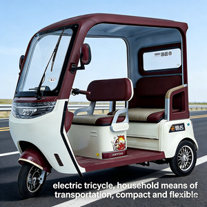 Tricycle électrique 60V à bas prix, 650W, pour adultes d'âge moyen et personnes âgées, design élégant, scooter semi-enclos - Product Image 6