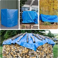 Bâche de sol pour camping avec œillets, bâche PE robuste et renforcée, imperméable, autre tissu tissé