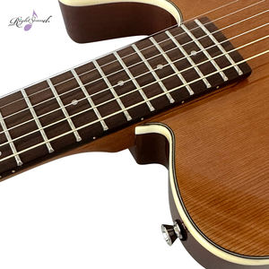 عالية الجودة 1V2T أفضل السبر متجر الغيتار الكهربائي سعر المصنع للمبتدئين - Product Image 5