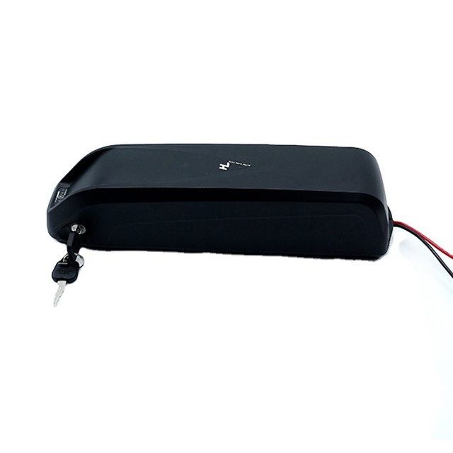 Hailong Electric Scooter Ebike Battery 36v 48v 15Ah 20Ah Bike Battery Box case