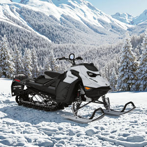 Brp dianfeng สโนว์โมบิล2จังหวะ850cc-สำหรับผู้ใหญ่เส้นทางการท่องเที่ยวและกีฬาติดตามความบันเทิง - Product Image 3