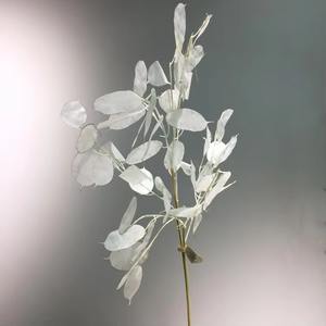 Vente en gros Décoration nordique moderne pour la maison <span class=keywords><strong>Lunaria</strong></span> artificielle à feuilles blanches Plante annuelle argentée pour mariage et Noël - Product Image 3
