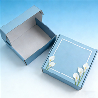 Boîte d'emballage personnalisée en forme d'avion, écologique, robuste, réutilisable, double face, en carton ondulé, avec gaufrage couleur