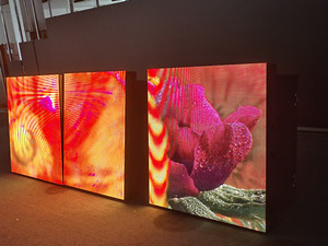 Màn Hình Led Xe Tay Ga P3.84 P4.8 Đủ Màu Màn Hình Led Xe Điện Màn Hình Quảng Cáo Ngoài Trời - Product Image 2