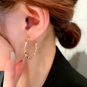 Orecchini a Cerchio in Bambù Audaci per Donne, Orecchini Metallici di Tendenza in Stile Coreano, Regalo - Product Image 4