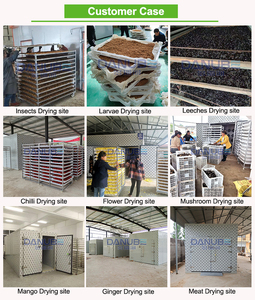เครื่องอบแห้งแมลงคุณภาพสูงแบบถาดลมร้อน ขายดี พร้อมระบบอบแห้งอัตโนมัติ - Product Image 2