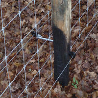 Vente en gros de clôture de ferme en métal galvanisé Bétail/mouton/champ/cerf utilisation de treillis métallique de prairie Sport