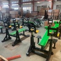 Vente en gros usine : Appareil de fitness pour l'entraînement de la force corporelle, équipement de gym, banc de musculation Deline
